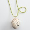 Bowerbird egg 