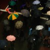 Umbrella Crossing - George Street, Sydney, NSW 2012 